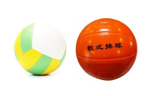 排球ZRXDW—221