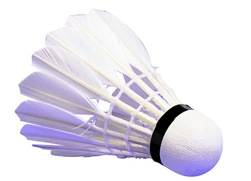 羽毛球、拍ZRXDW—330