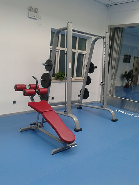 腹肌板ZRXDS—028