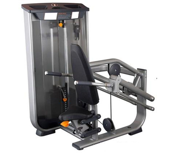 室内健身器材ZRXDS—055