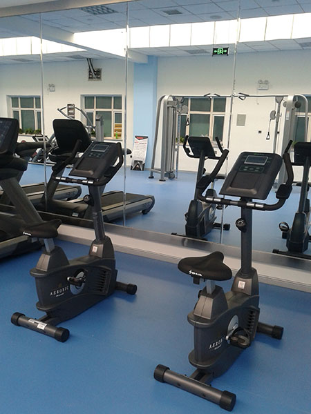 健身车ZRXDS—056