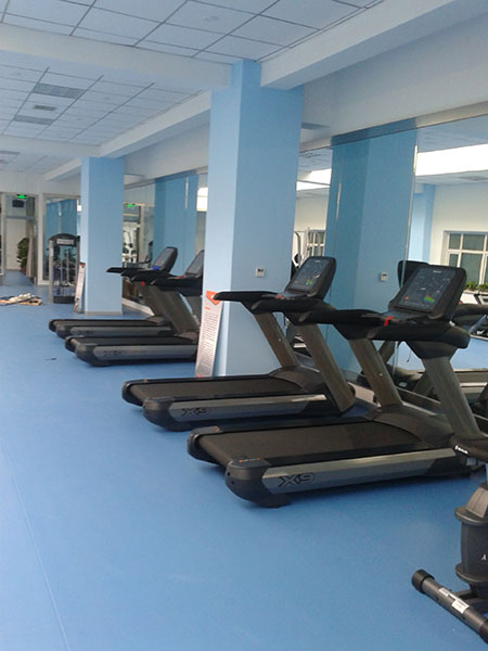 跑步机ZRXDS—058