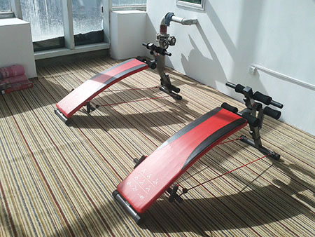 腹肌板ZRXDS—060